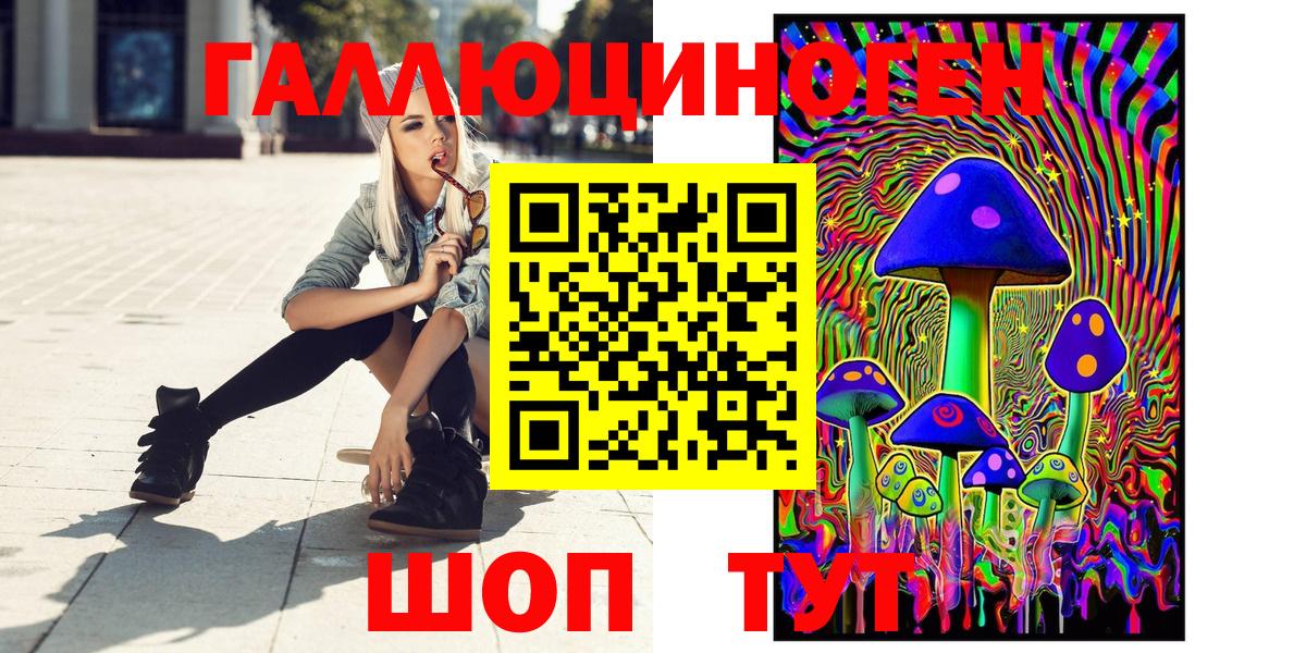 Псилоцибиновые грибы Psilocybe Иркутск