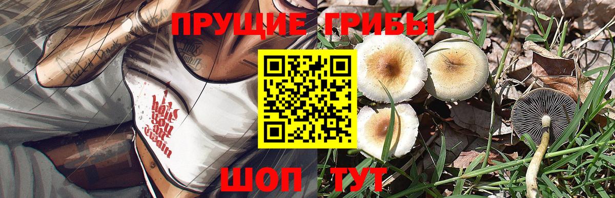 Иркутск  Галлюциногенные грибы Psilocybine cubensis  Вход с VPN 